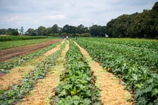 Miejska Farma Wrocławia
